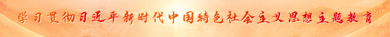 學(xué)習(xí)貫徹習(xí)近平新時(shí)代中國特色社會(huì)主義思想主題教育